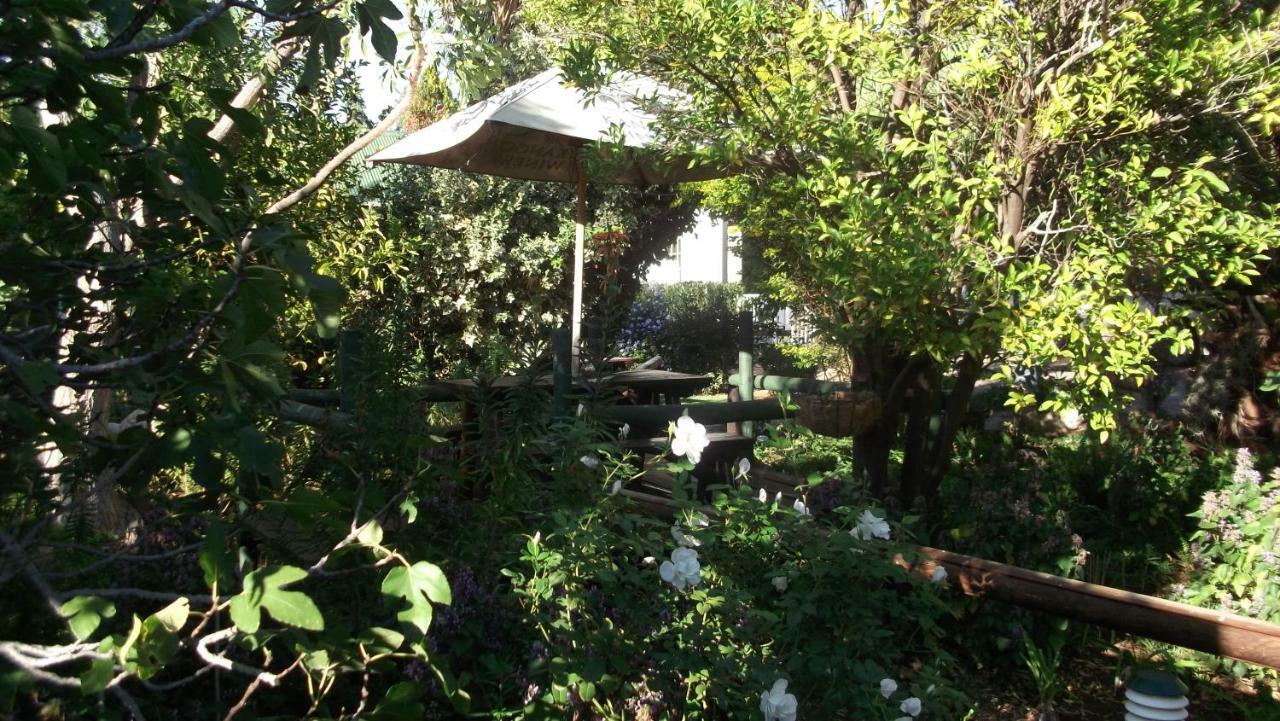 Housemartin Lodge & Self Catering De Rust Εξωτερικό φωτογραφία